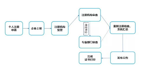 建造師注冊(cè)管理邁入數(shù)字化新篇章 個(gè)人與企業(yè)雙軌并行，信息系統(tǒng)集成服務(wù)全面升級(jí)