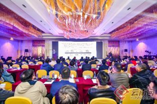 云南城投集團發布“三舟”戰略產品體系，助力打造健康生活目的地